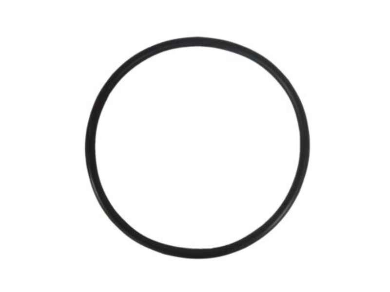 SPX O-Ring, Ø 110,49 x 5,33, f. Tank